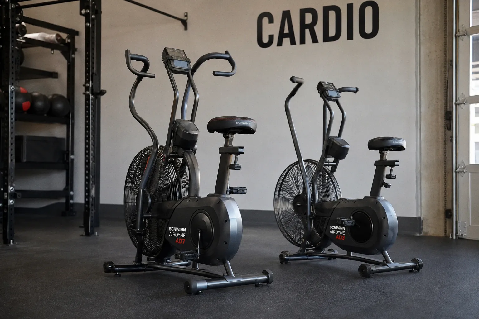 Стоит ли покупать велотренажеры Schwinn Airdyne AD7 и AD3 для дома